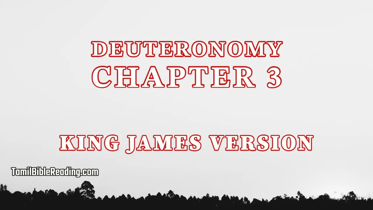 Deuteronomy Chapter 3, English Bible, KJV Bible, online English Bible, tbr site,
