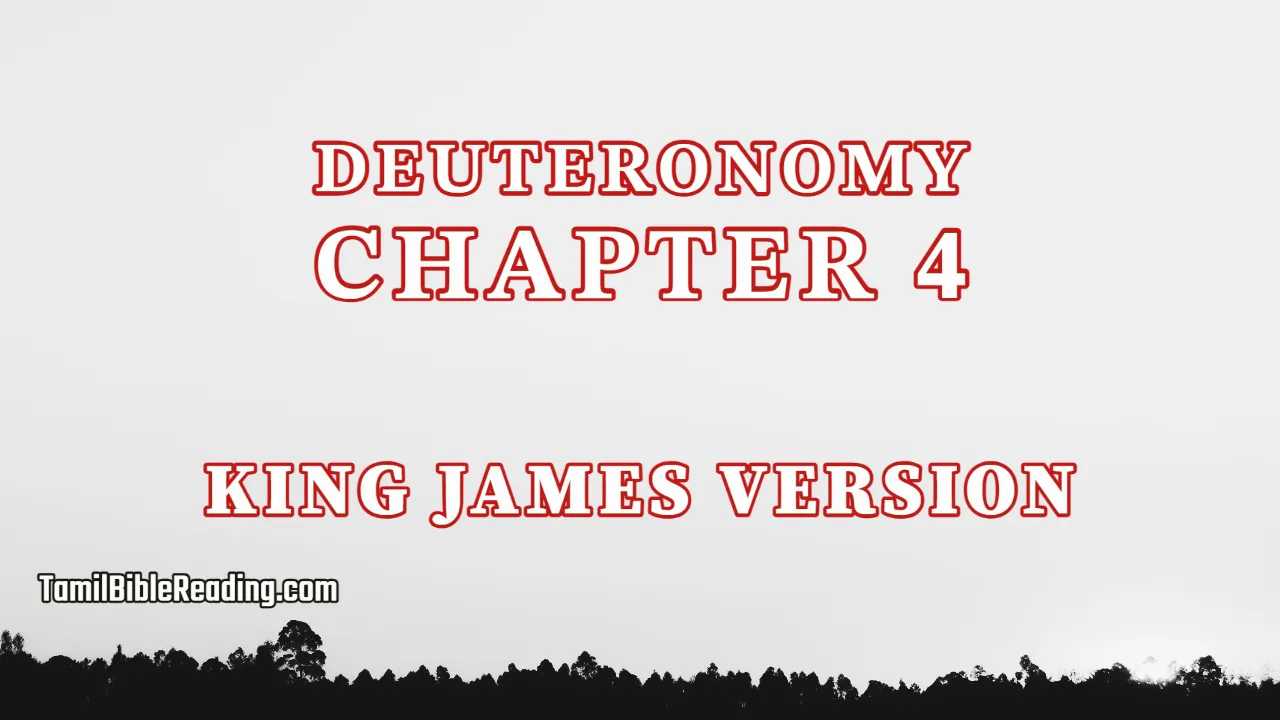 Deuteronomy Chapter 4, English Bible, KJV Bible, online English Bible, tbr site,