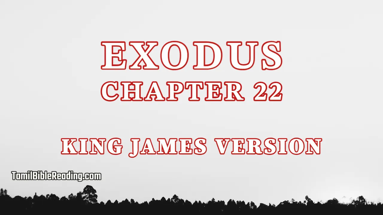 Exodus Chapter 22, English Bible, tamil bible reading, Bible Reading,
