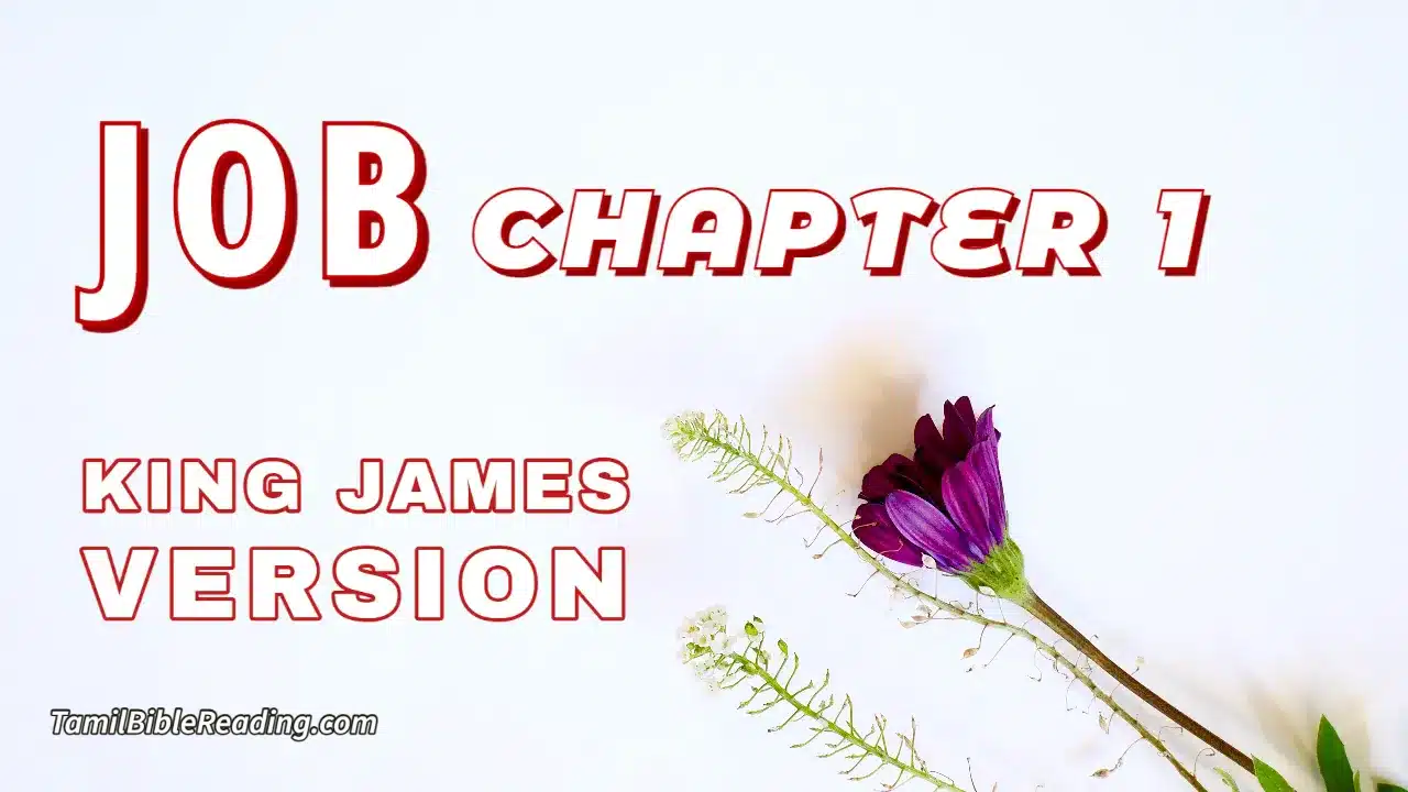 Job Chapter 1, English Bible, KJV Bible, online English Bible, tbr site,