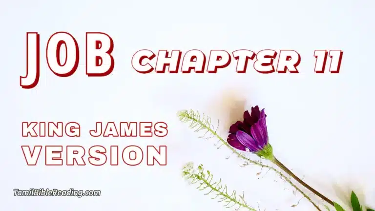 Job Chapter 11, English Bible, KJV Bible, online English Bible, tbr site,