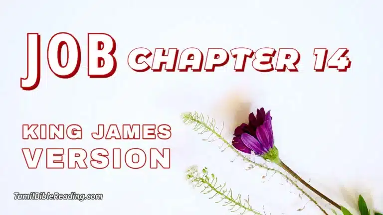 Job Chapter 14, English Bible, KJV Bible, online English Bible, tbr site,