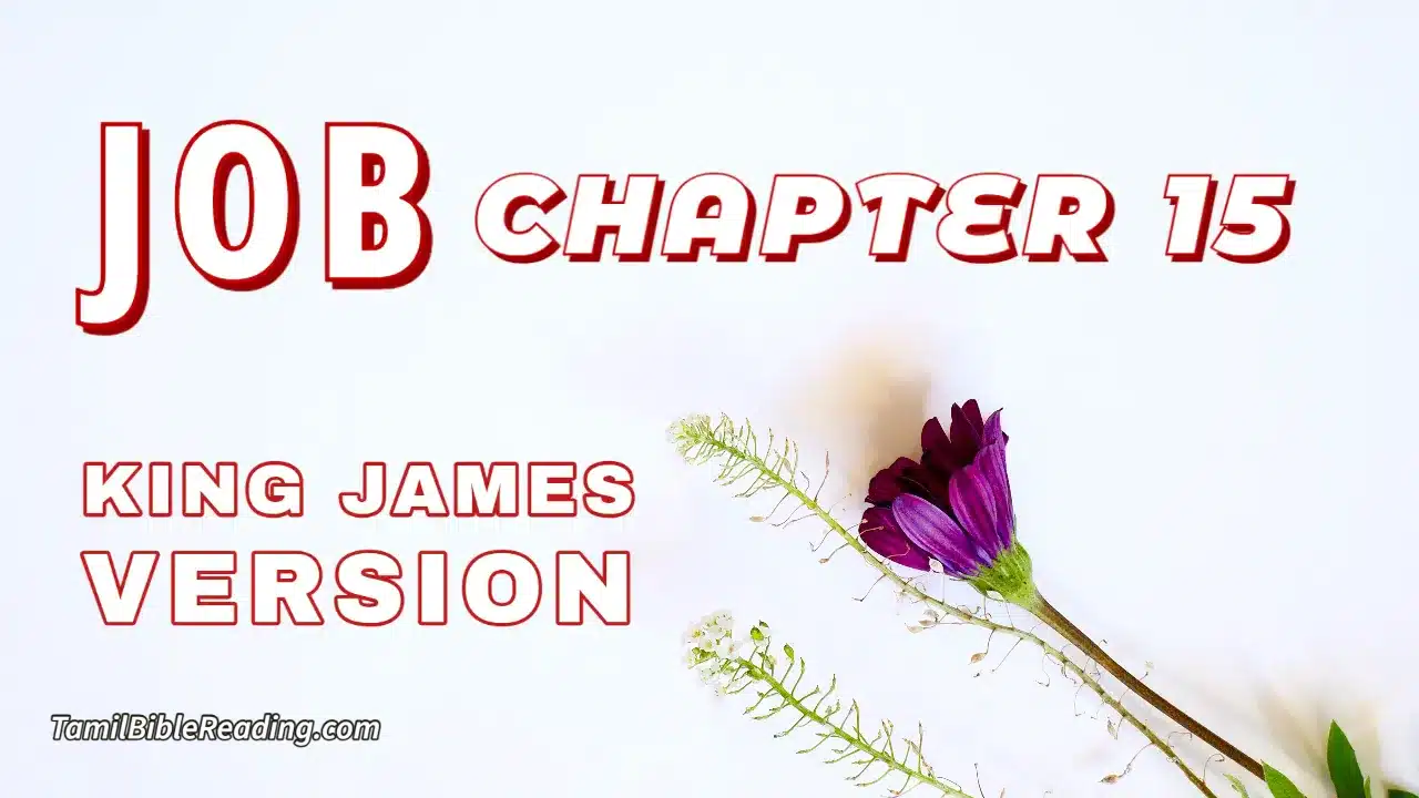Job Chapter 15, English Bible, KJV Bible, online English Bible, tbr site,
