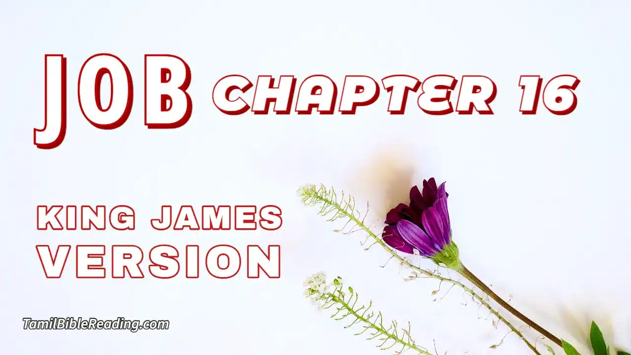 Job Chapter 16, English Bible, KJV Bible, online English Bible, tbr site,