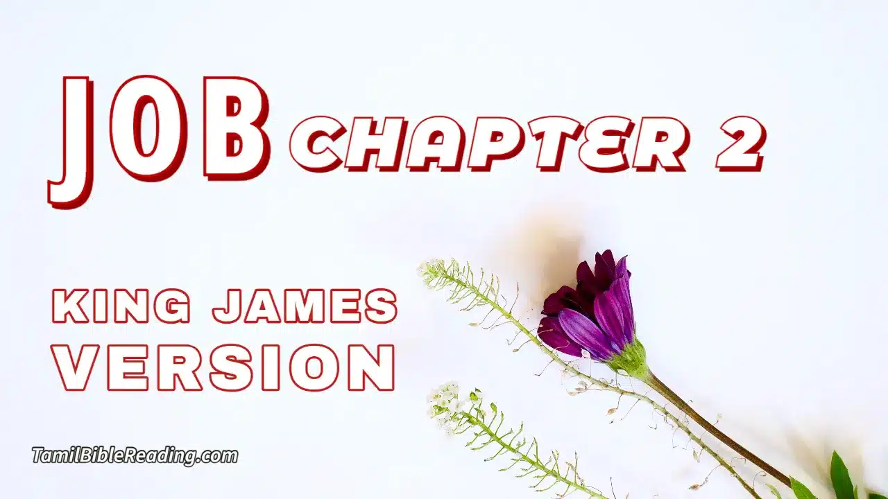 Job Chapter 2, English Bible, KJV Bible, online English Bible, tbr site,