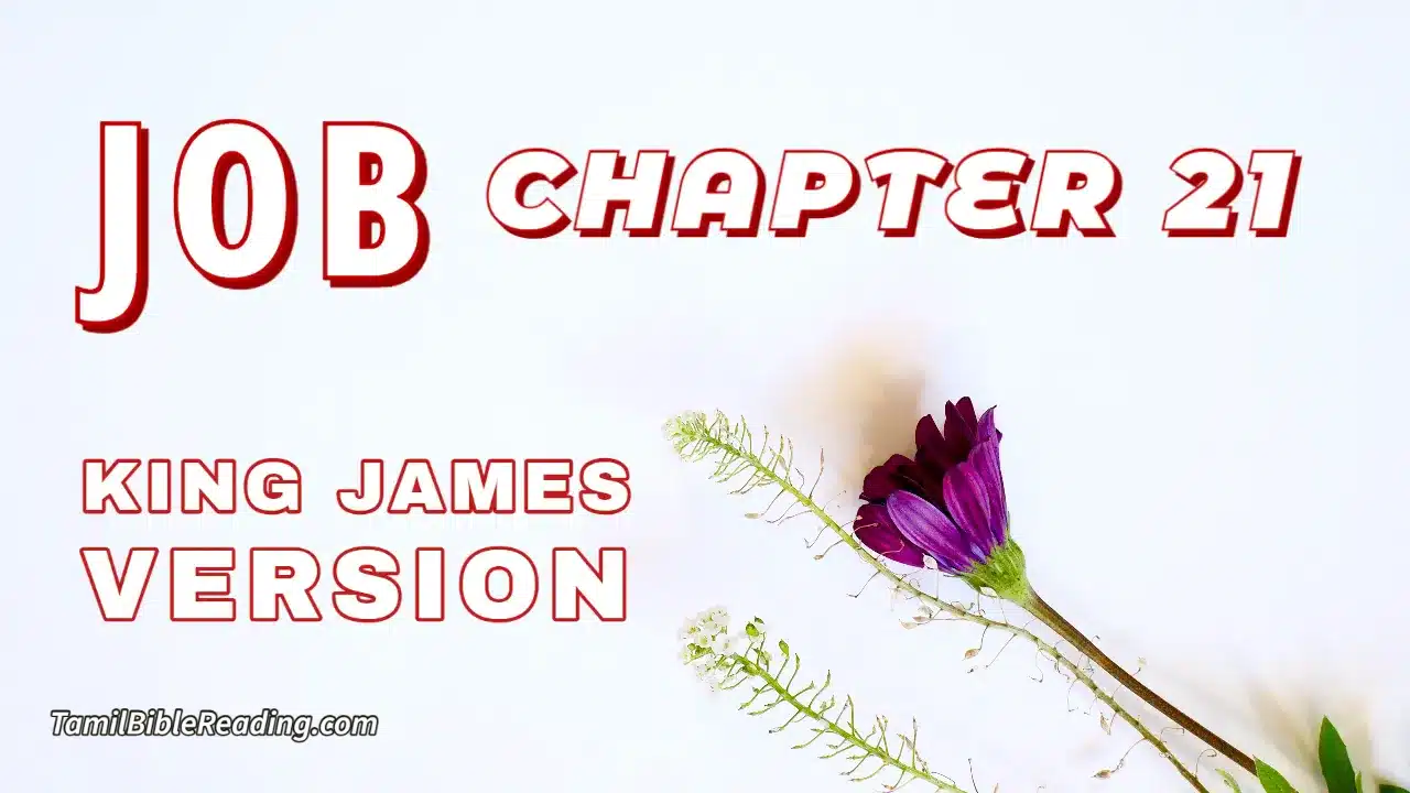Job Chapter 21, English Bible, KJV Bible, online English Bible, tbr site,