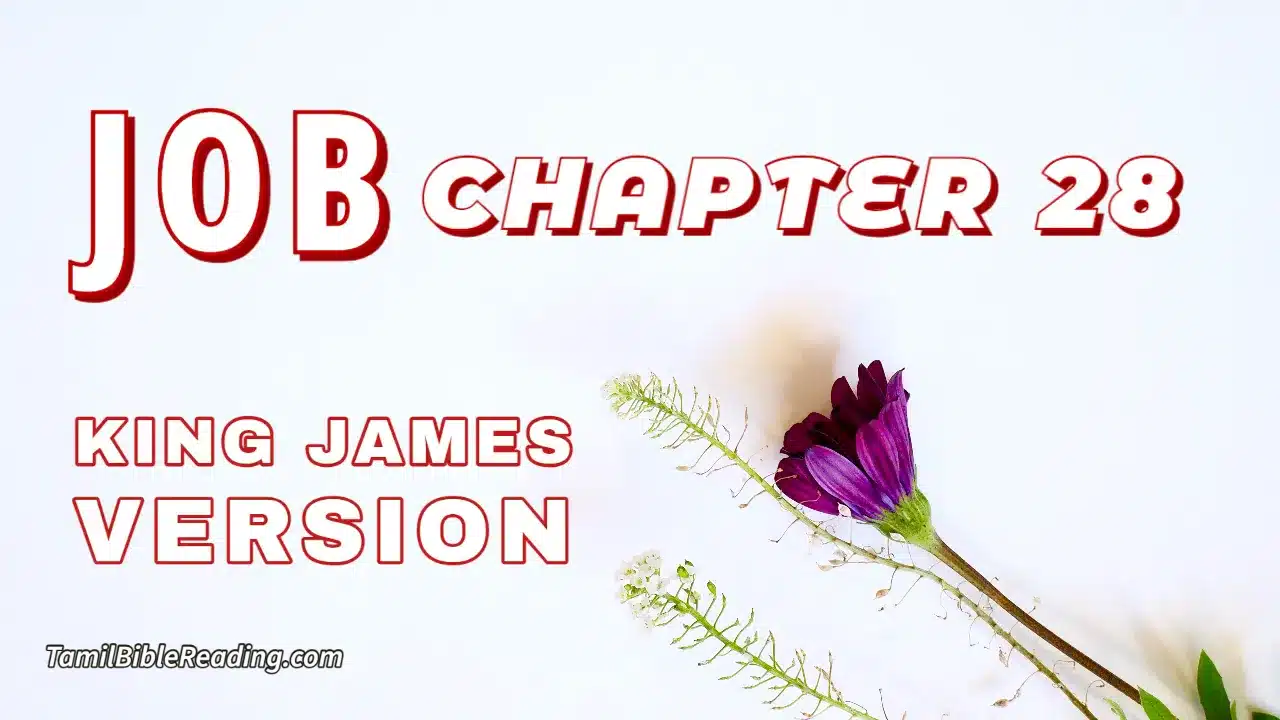 Job Chapter 28, English Bible, KJV Bible, online English Bible, tbr site,
