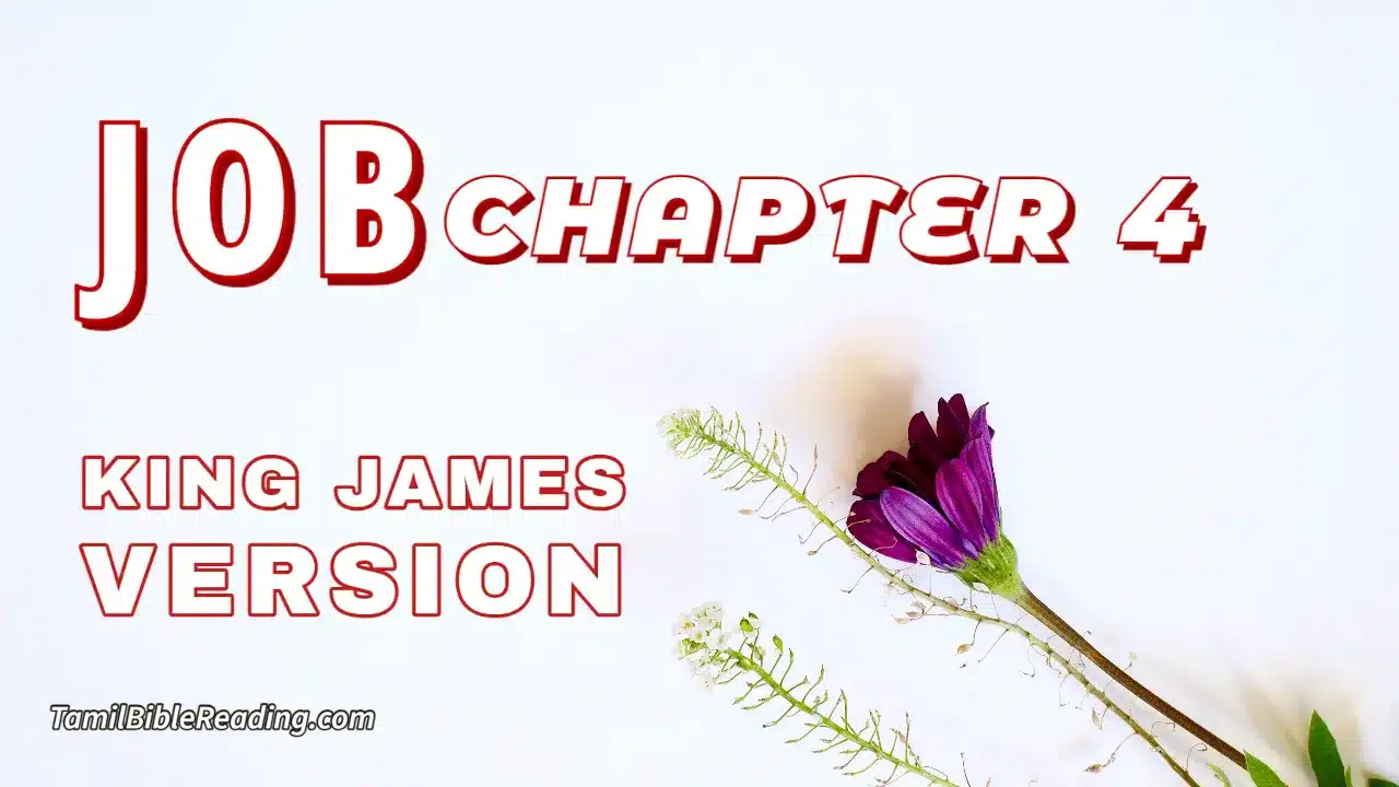 Job Chapter 4, English Bible, KJV Bible, online English Bible, tbr site,