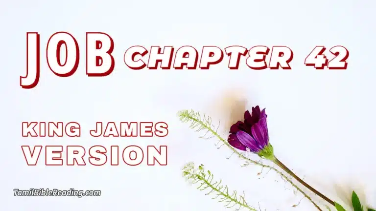 Job Chapter 42, English Bible, KJV Bible, online English Bible, tbr site,