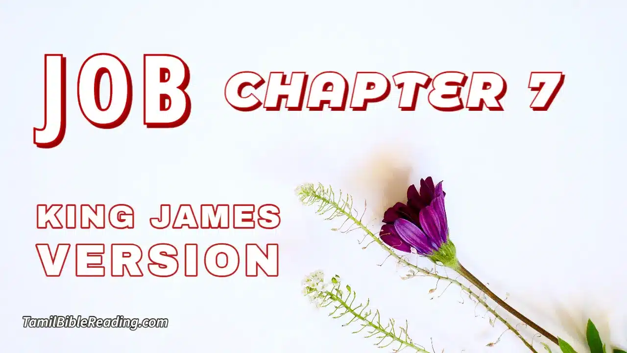 Job Chapter 7, English Bible, KJV Bible, online English Bible, tbr site,