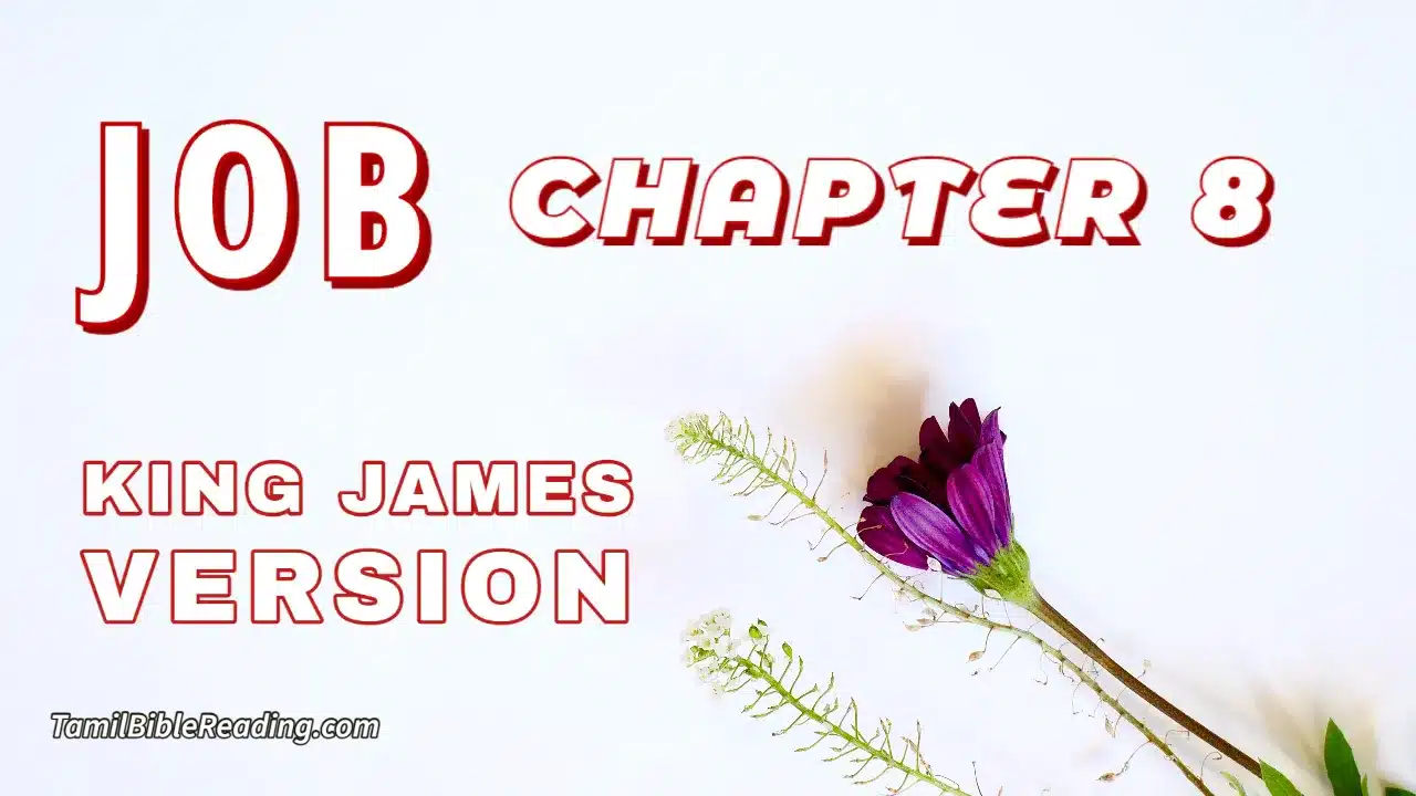Job Chapter 8, English Bible, KJV Bible, online English Bible, tbr site,