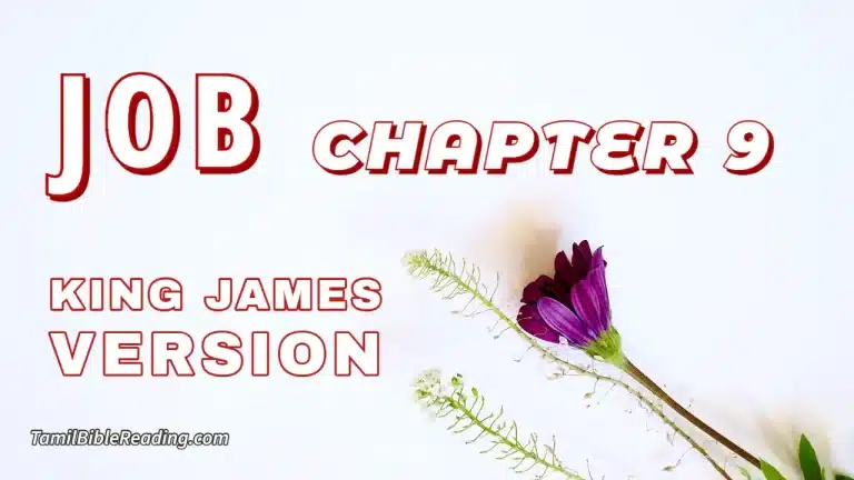 Job Chapter 9, English Bible, KJV Bible, online English Bible, tbr site,