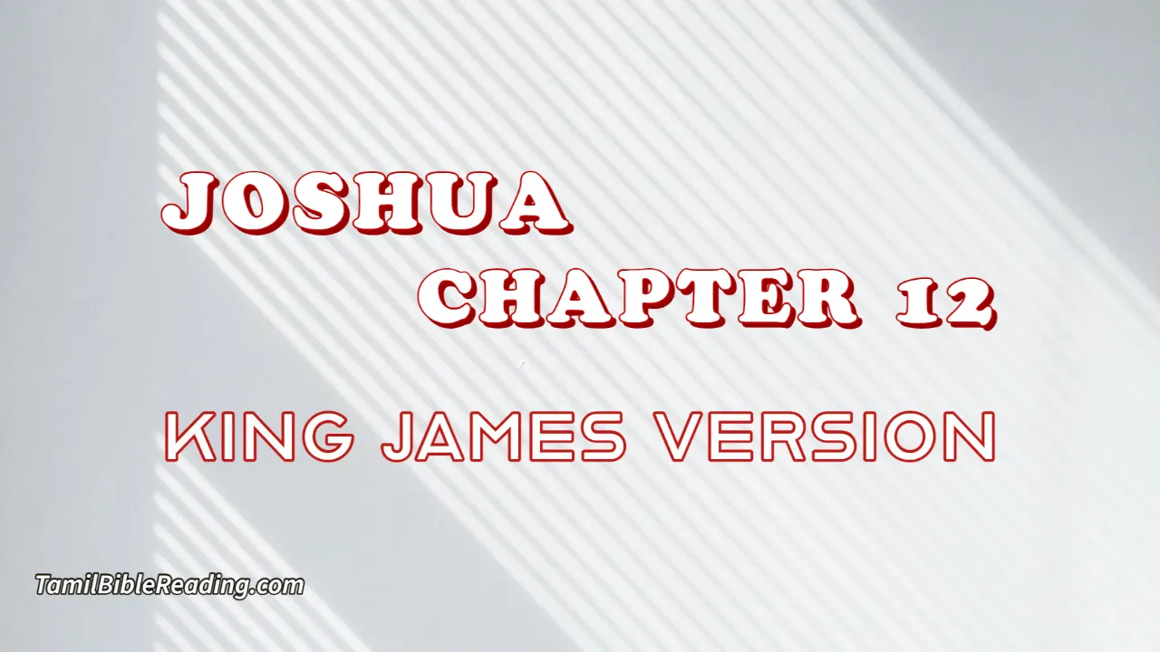 Joshua Chapter 12, English Bible, KJV Bible, online English Bible, tbr site,