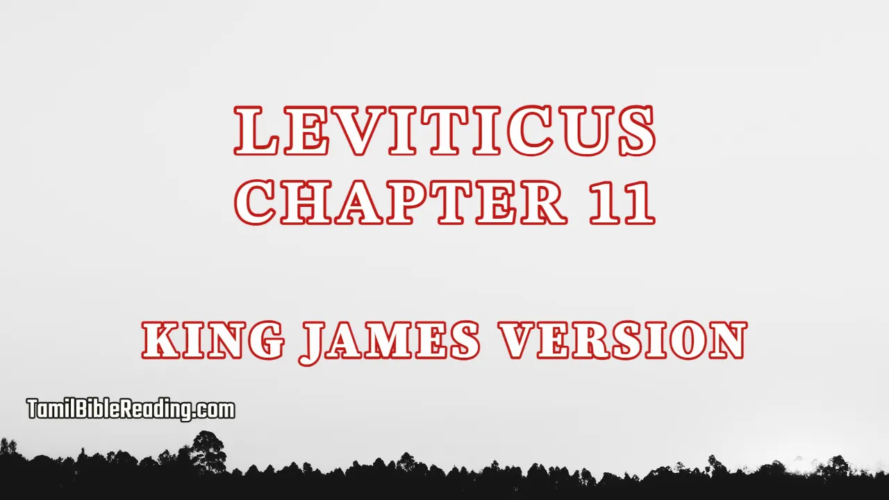 Leviticus Chapter 11, English Bible, tamil bible reading, Bible Reading,