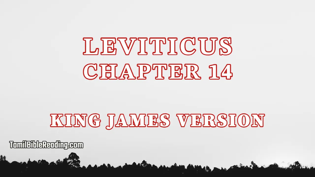 Leviticus Chapter 14, English Bible, tamil bible reading, Bible Reading,