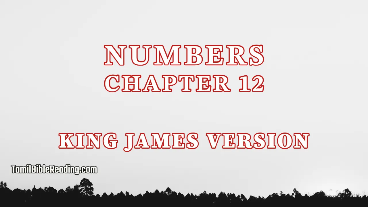 Numbers Chapter 12, English Bible KJV, tamil bible reading, Bible Reading,