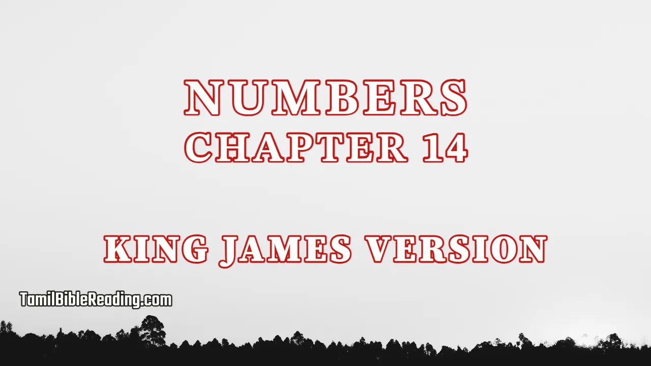 Numbers Chapter 14, English Bible KJV, tamil bible reading, Bible Reading,