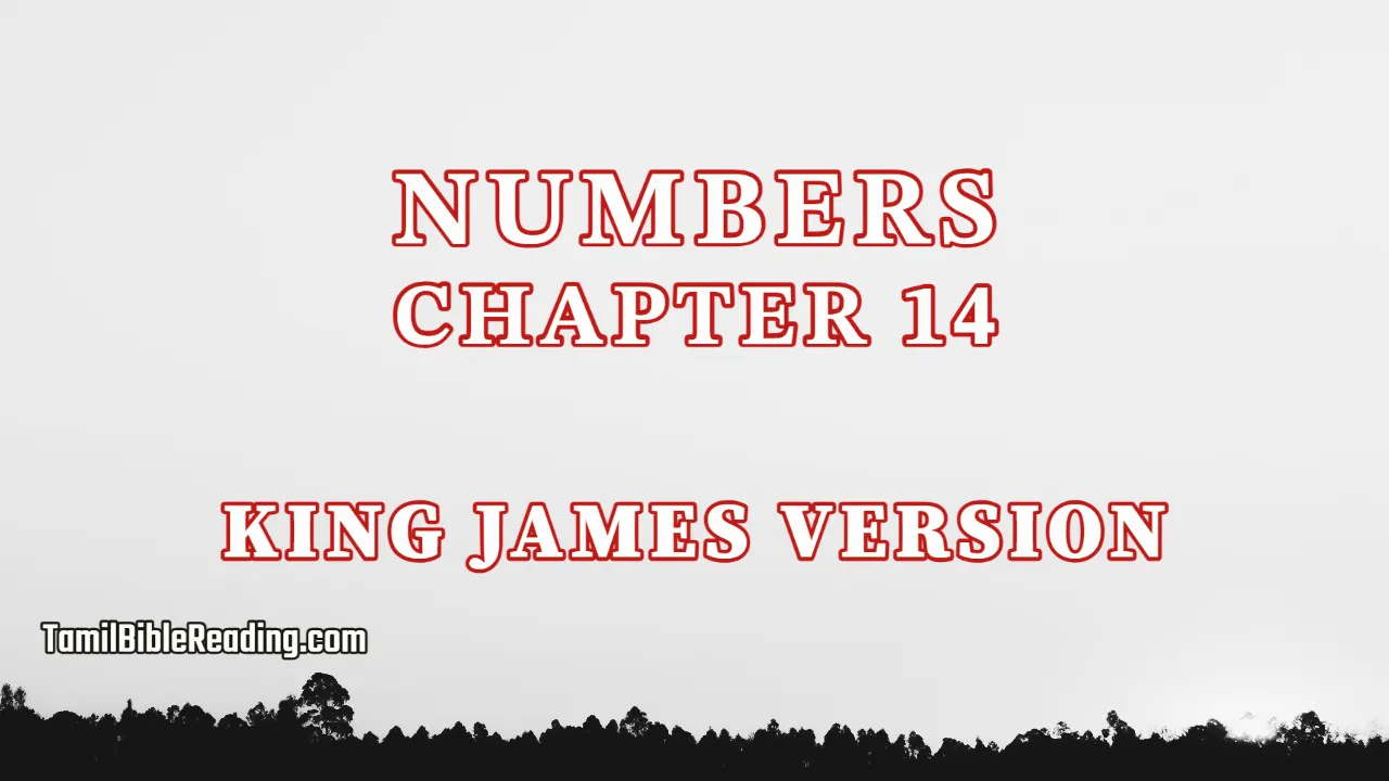 Numbers Chapter 14, English Bible KJV, tamil bible reading, Bible Reading,