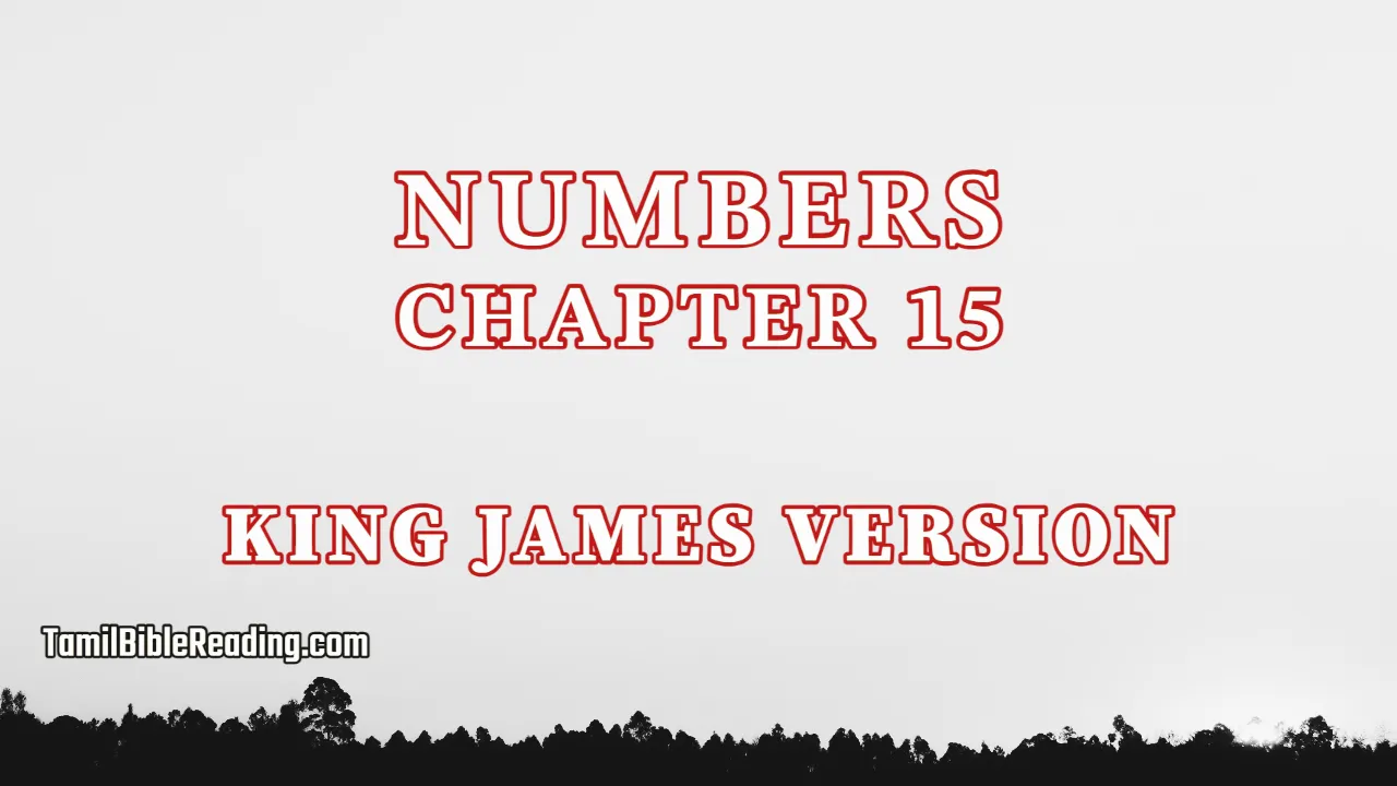 Numbers Chapter 15, English Bible KJV, tamil bible reading, Bible Reading,