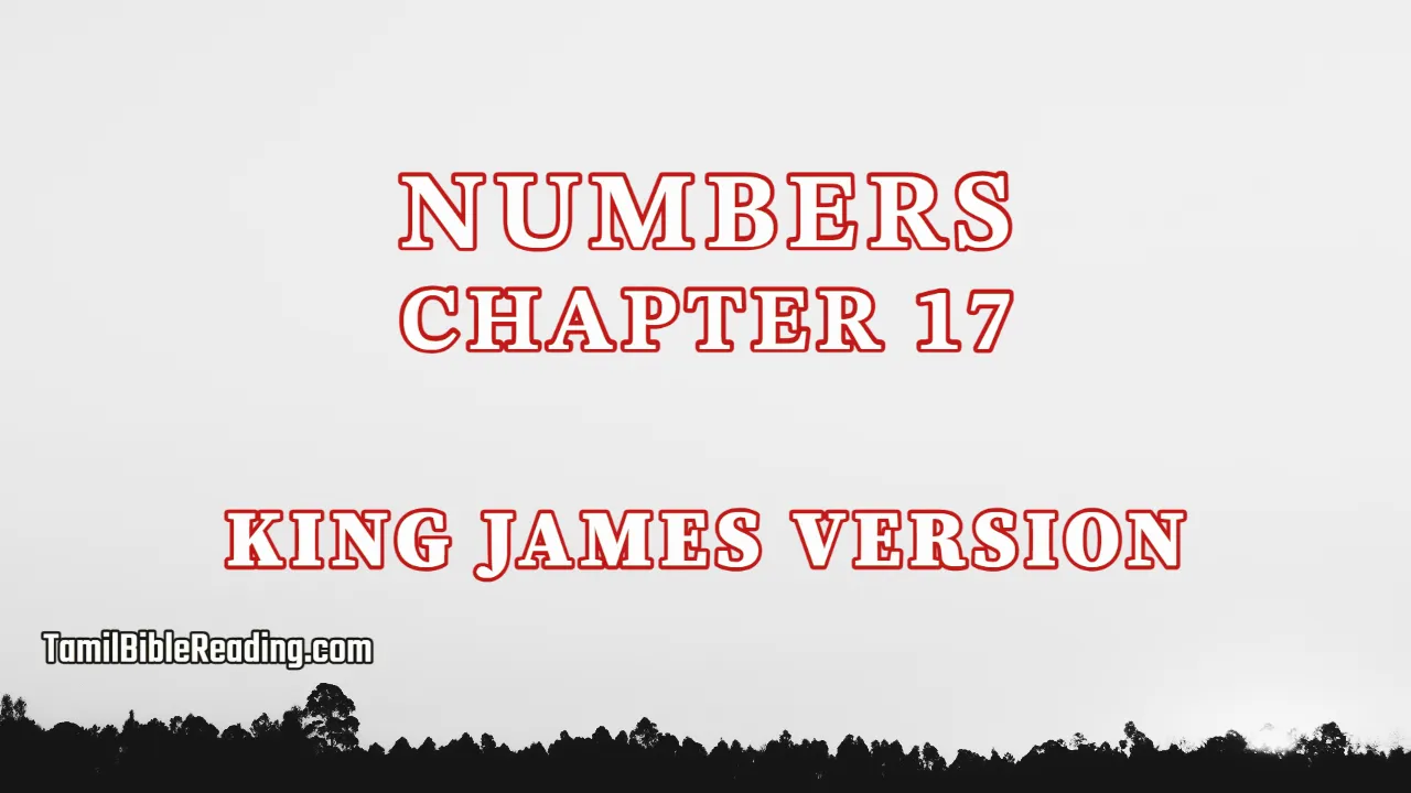 Numbers Chapter 17, English Bible KJV, tamil bible reading, Bible Reading,