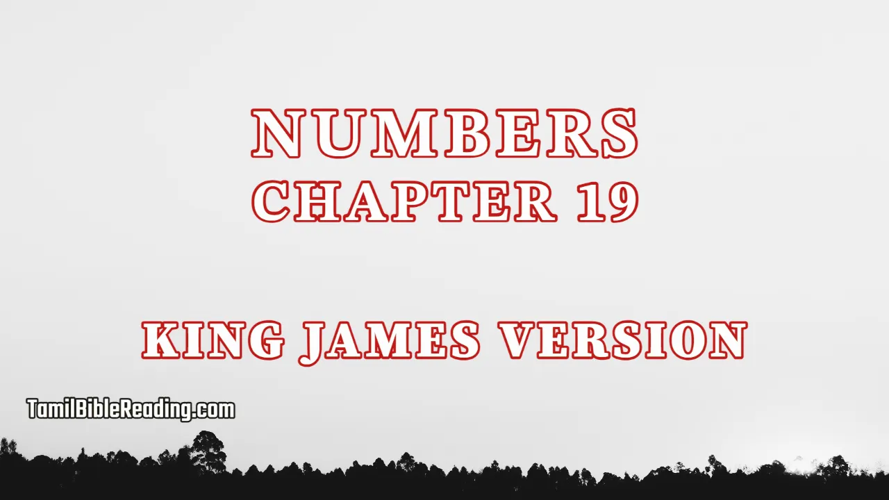 Numbers Chapter 19, English Bible KJV, tamil bible reading, Bible Reading,