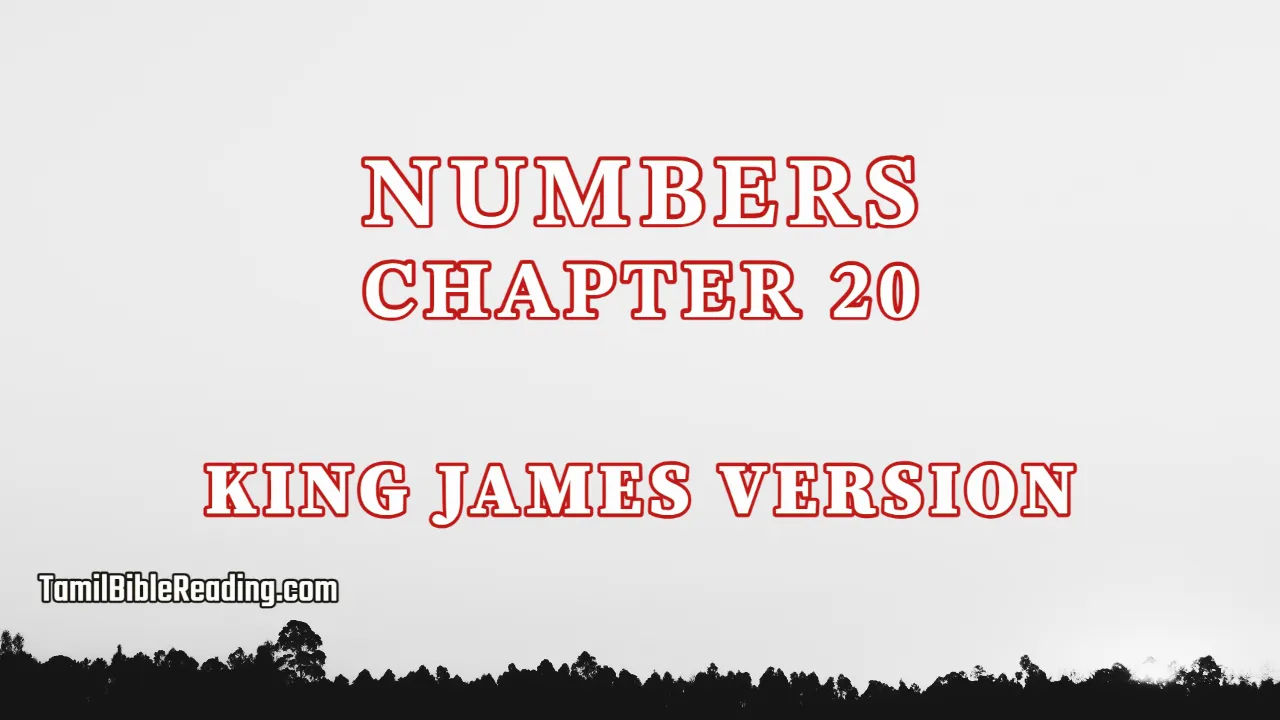Numbers Chapter 20, English Bible KJV, tamil bible reading, Bible Reading,