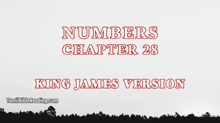 Numbers Chapter 28, English Bible KJV, tamil bible reading, Bible Reading,