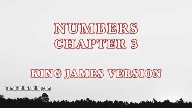 Numbers Chapter 3, English Bible KJV, tamil bible reading, Bible Reading,