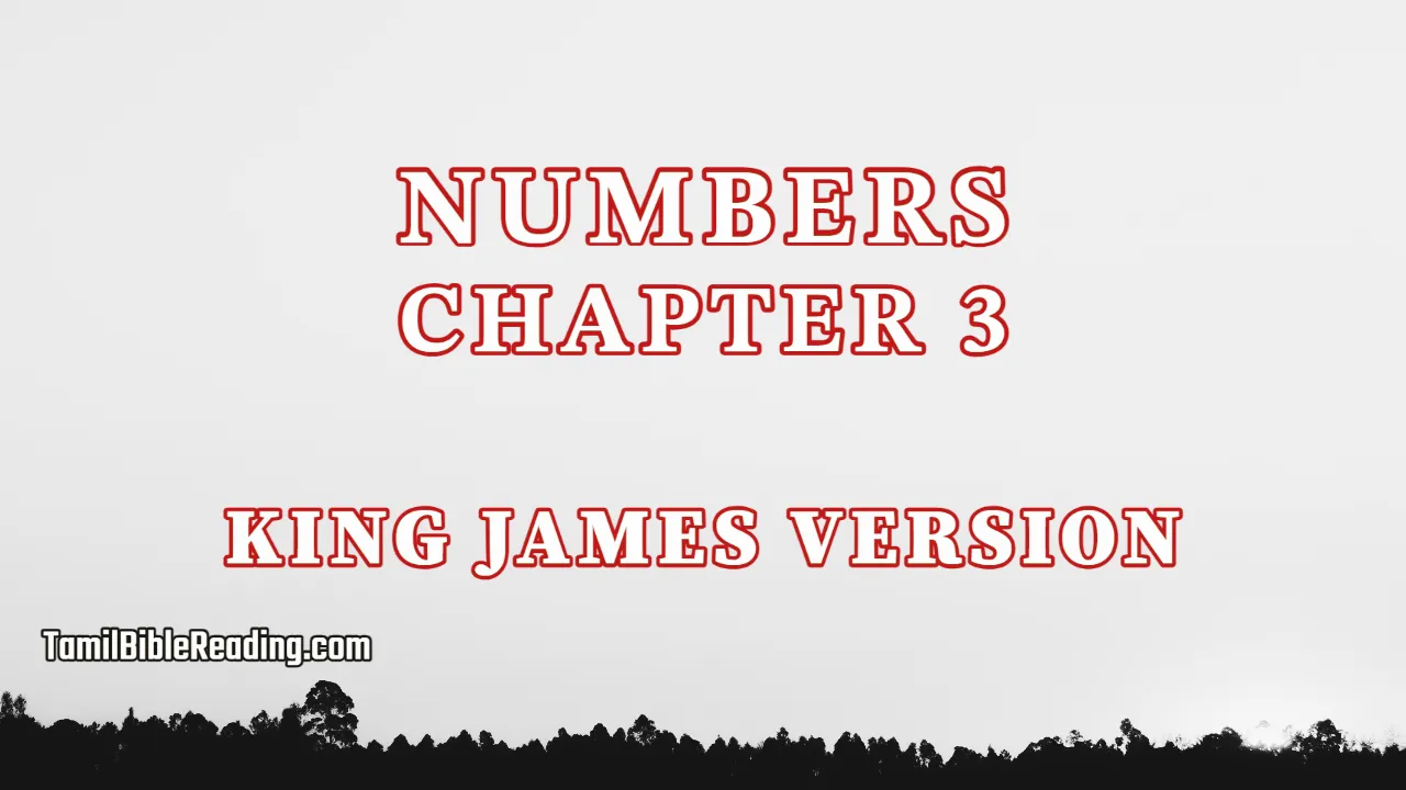 Numbers Chapter 3, English Bible KJV, tamil bible reading, Bible Reading,