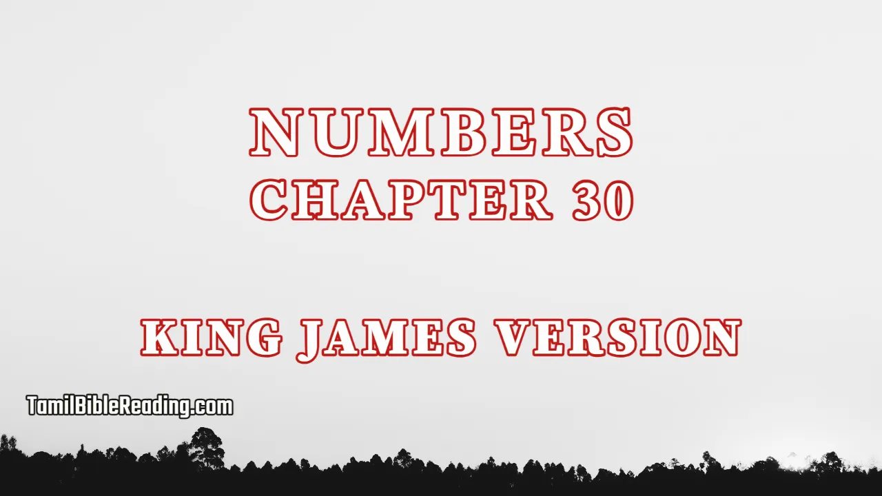 Numbers Chapter 30, English Bible KJV, tamil bible reading, Bible Reading,