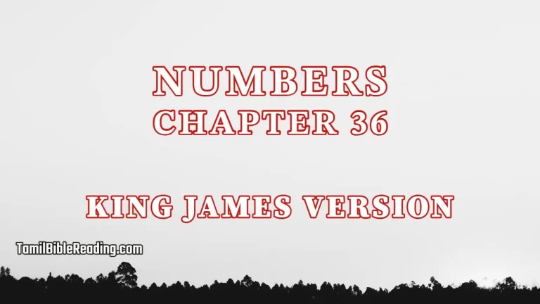 Numbers Chapter 36, English Bible KJV, tamil bible reading, Bible Reading,