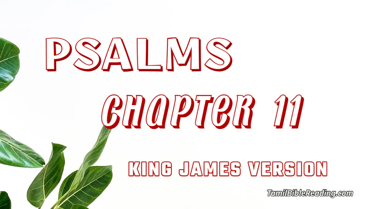 Psalms Chapter 11, English Bible, KJV Bible, online English Bible, tbr site,