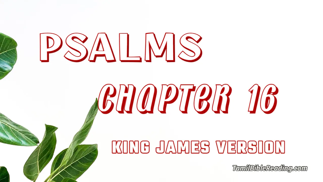 Psalms Chapter 16, English Bible, KJV Bible, online English Bible, tbr site,