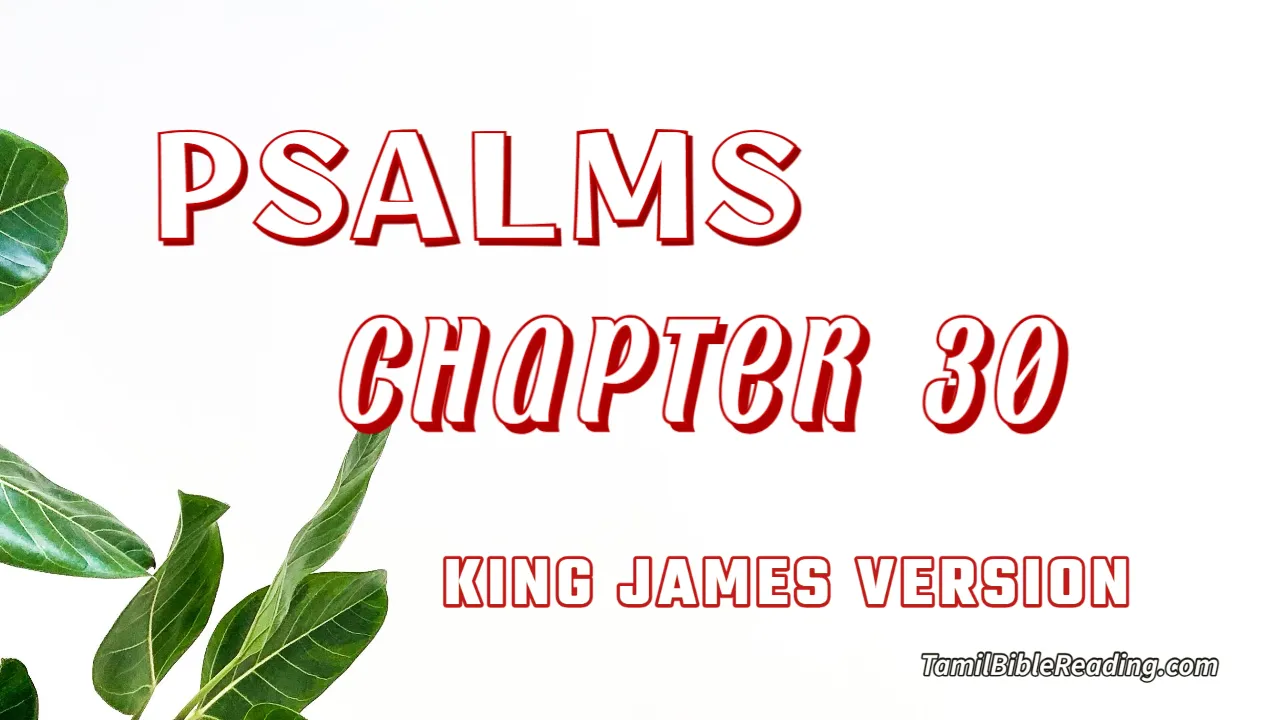 Psalms Chapter 30, English Bible, KJV Bible, online English Bible, tbr site,