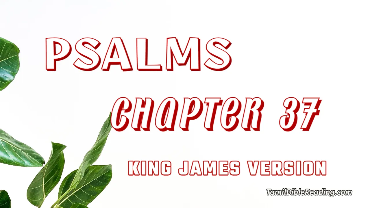 Psalms Chapter 37, English Bible, KJV Bible, online English Bible, tbr site,