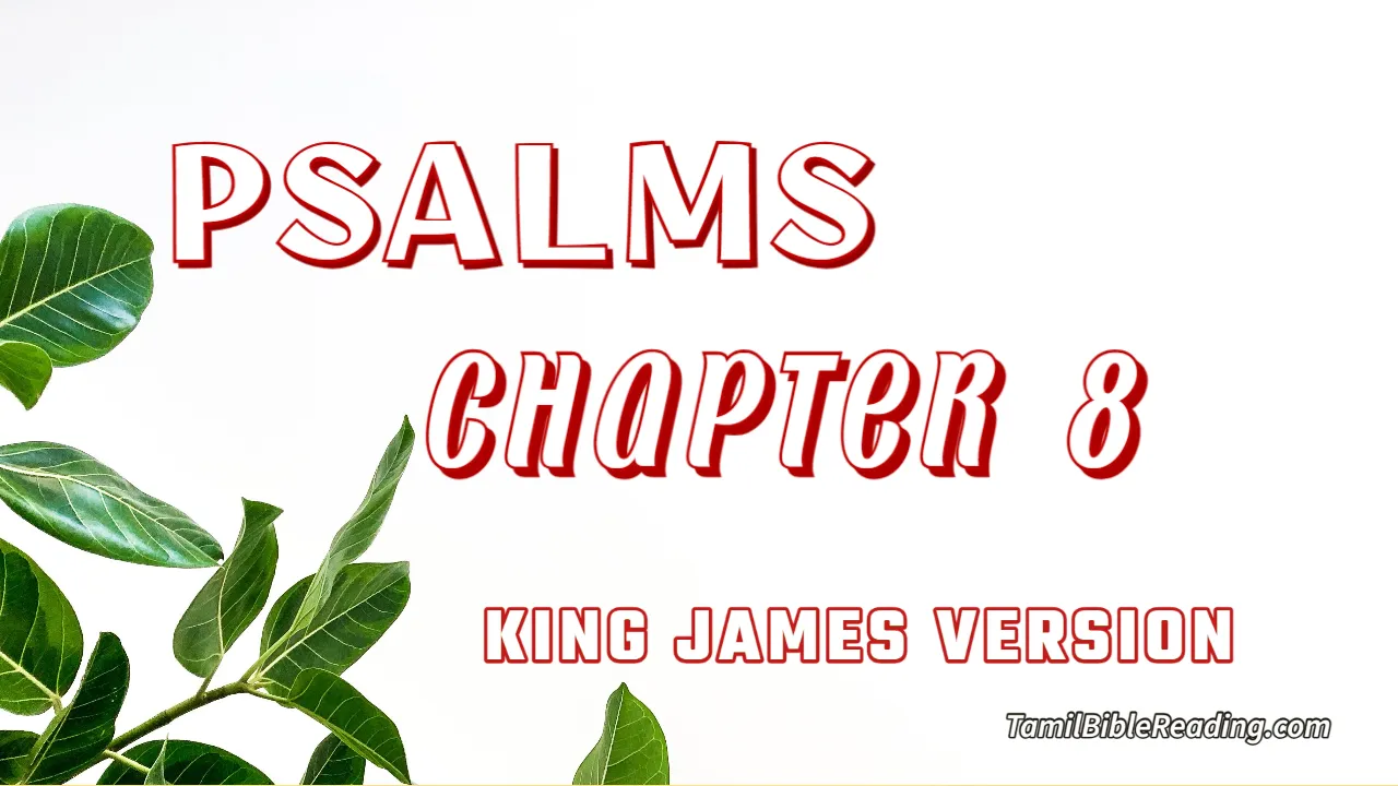 Psalms Chapter 8, English Bible, KJV Bible, online English Bible, tbr site,