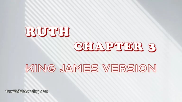 Ruth Chapter 3, English Bible, KJV Bible, online English Bible, tbr site,