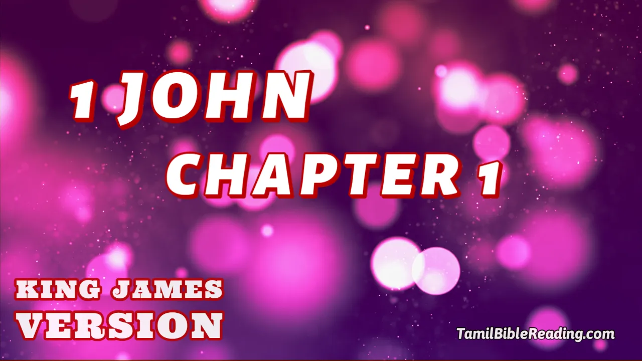 1 John Chapter 1, English Bible KJV, online English Bible, tbr site,