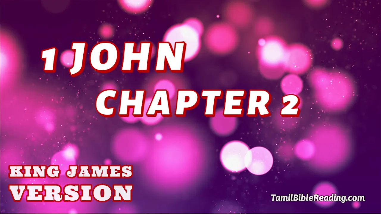 1 John Chapter 2, English Bible KJV, online English Bible, tbr site,