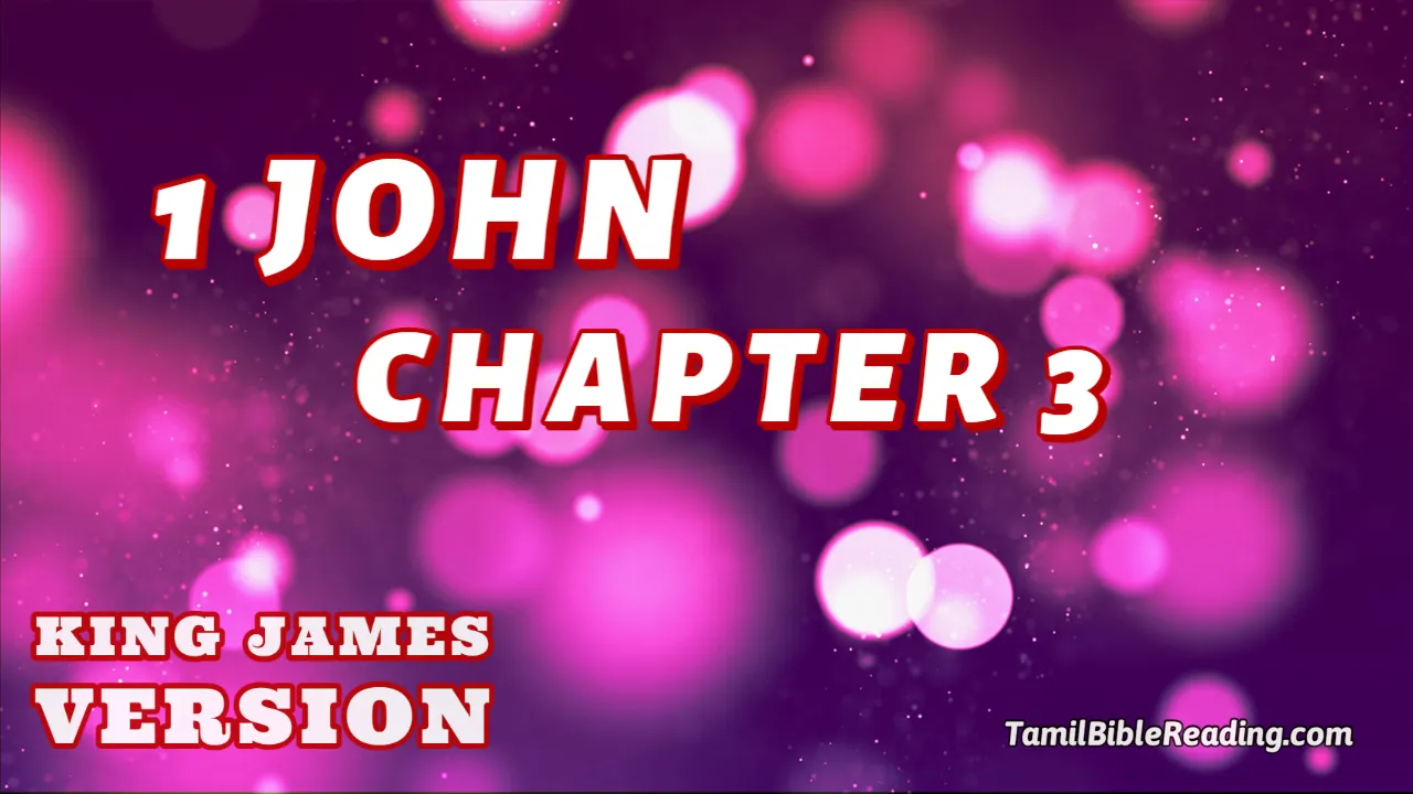 1 John Chapter 3, English Bible KJV, online English Bible, tbr site,