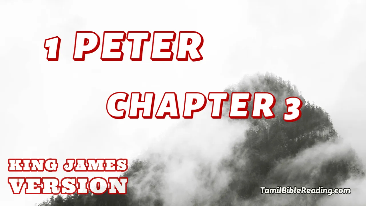 1 Peter Chapter 3, English Bible KJV, online English Bible, tbr site,