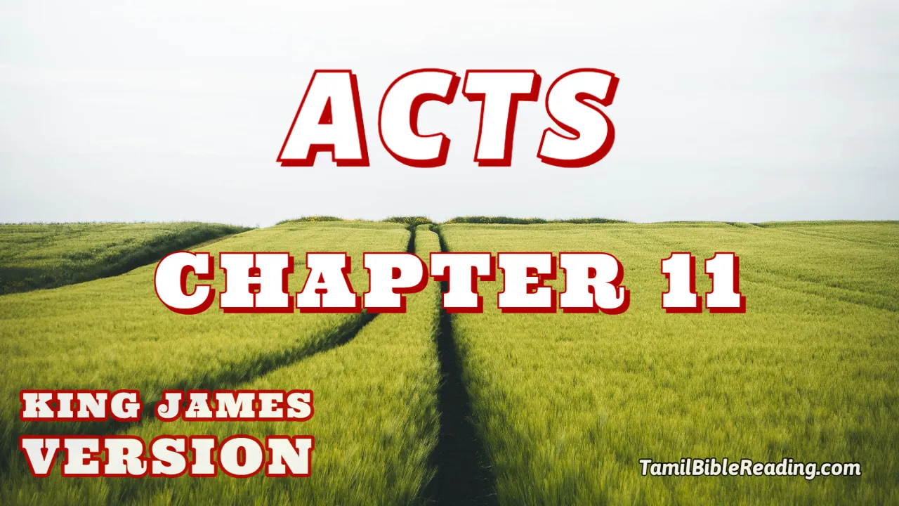 Acts Chapter 11, English Bible KJV, online Bible Reading, tbr site,