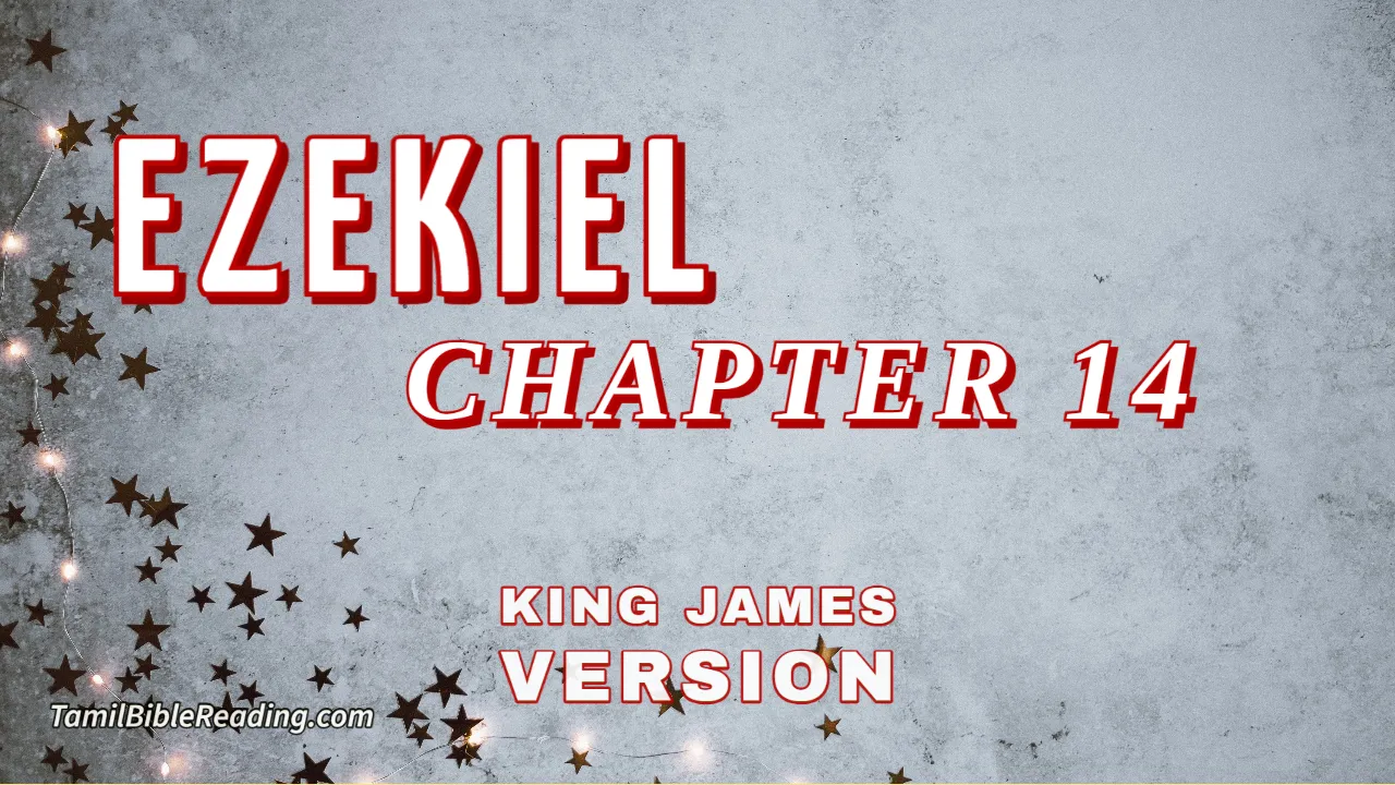 Ezekiel Chapter 14, English Bible, KJV Bible, online English Bible, tbr site,