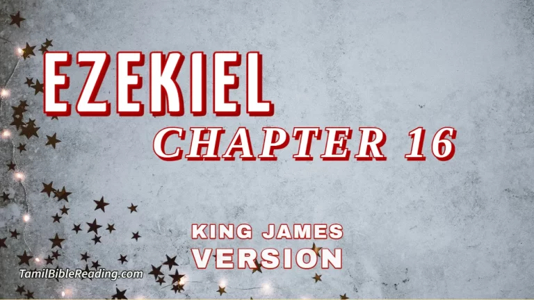 Ezekiel Chapter 16, English Bible, KJV Bible, online English Bible, tbr site,