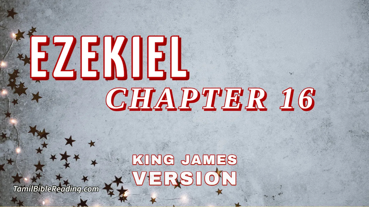 Ezekiel Chapter 16, English Bible, KJV Bible, online English Bible, tbr site,