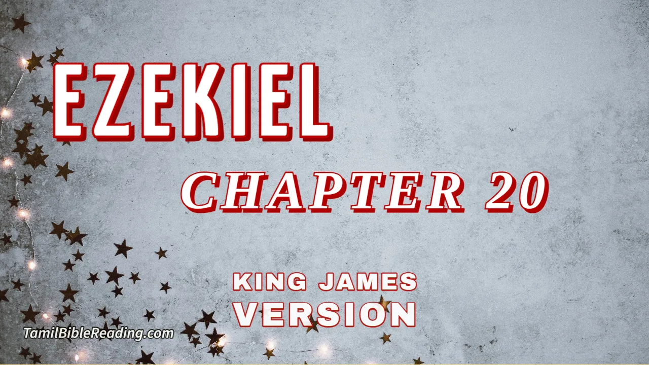 Ezekiel Chapter 20, English Bible, KJV Bible, online English Bible, tbr site,