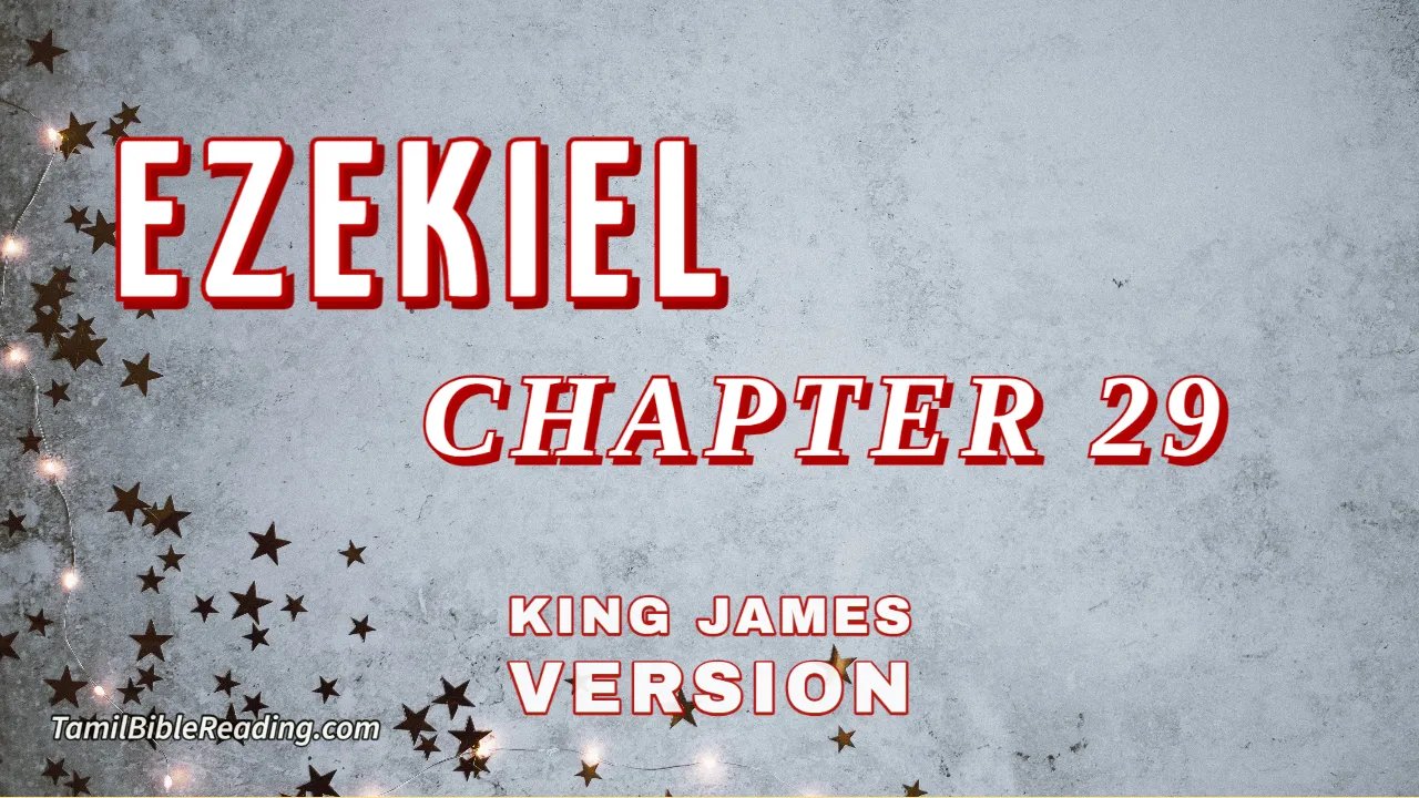 Ezekiel Chapter 29, English Bible, KJV Bible, online English Bible, tbr site,