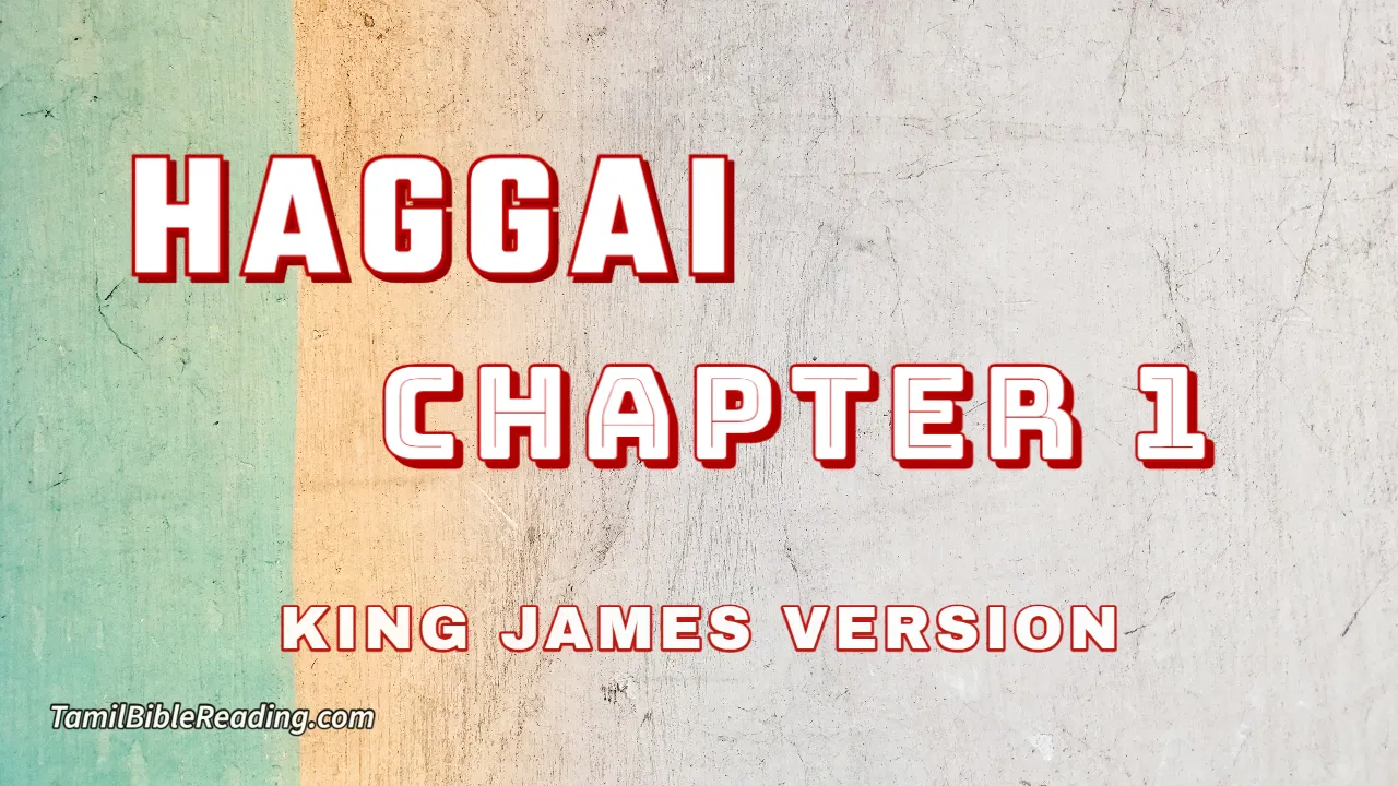 Haggai Chapter 1, English Bible, KJV Bible, online English Bible, tbr site,