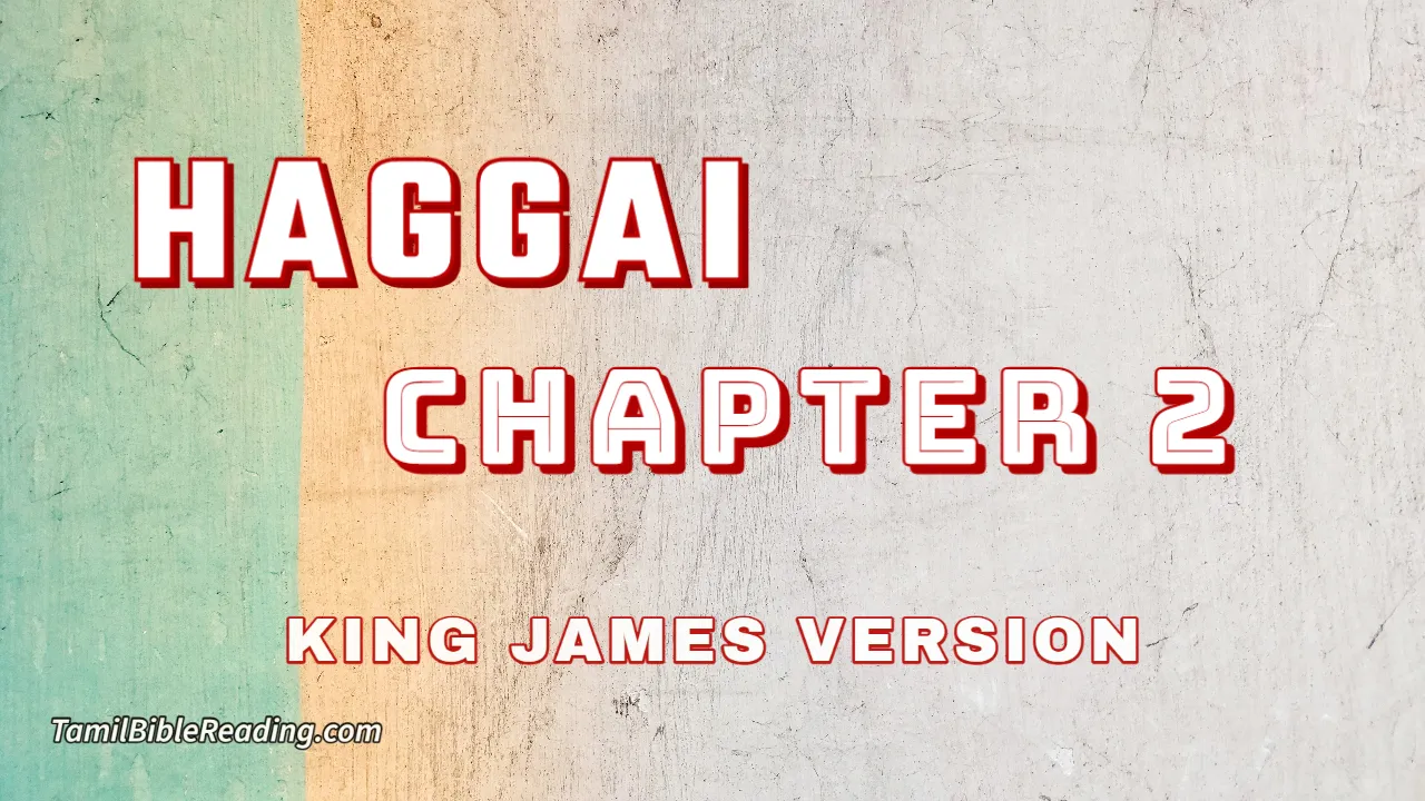 Haggai Chapter 2, English Bible, KJV Bible, online English Bible, tbr site,
