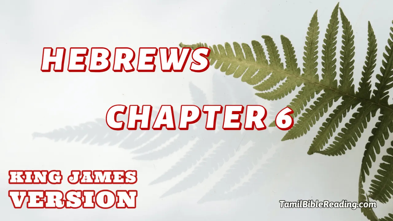 Hebrews Chapter 6, English Bible KJV, online English Bible, tbr site,